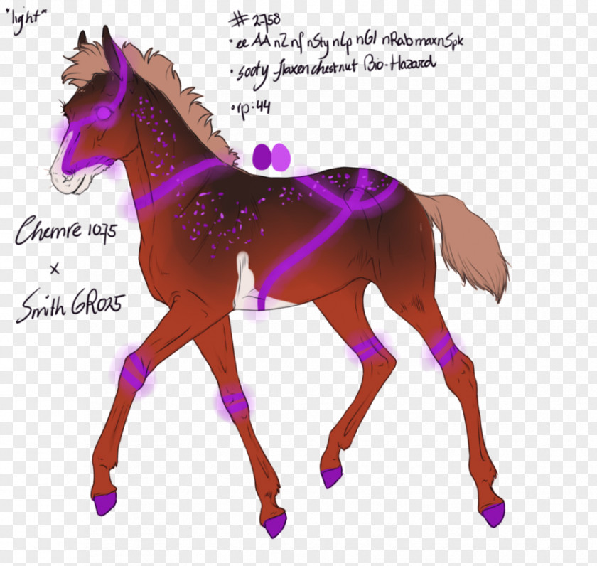 Mustang Stallion Foal Mane Pony PNG