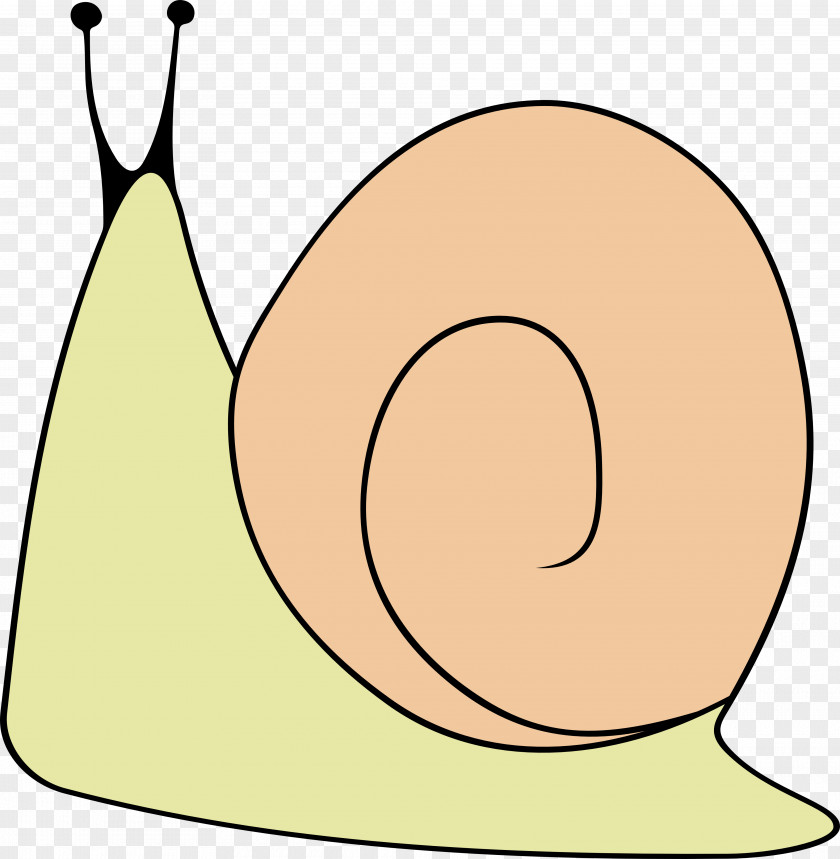 Snail Cartoon Line Beak Clip Art PNG