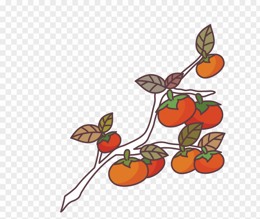 Vector Persimmon Tree Material Japanese Euclidean PNG