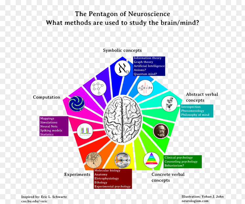 Creative Math Ppt Chart Neuroscience Cognitive Science Pentagon An Essay Concerning Human Understanding PNG