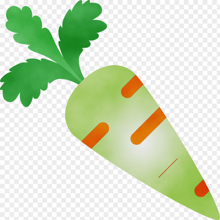 Green Leaf Carrot Plant Vegetable PNG