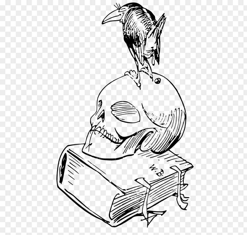 Hand-painted Bird Standing Skeleton Head Max And Moritz Die Haarbeutel Der Heilige Antonius Von Padua Sketch PNG