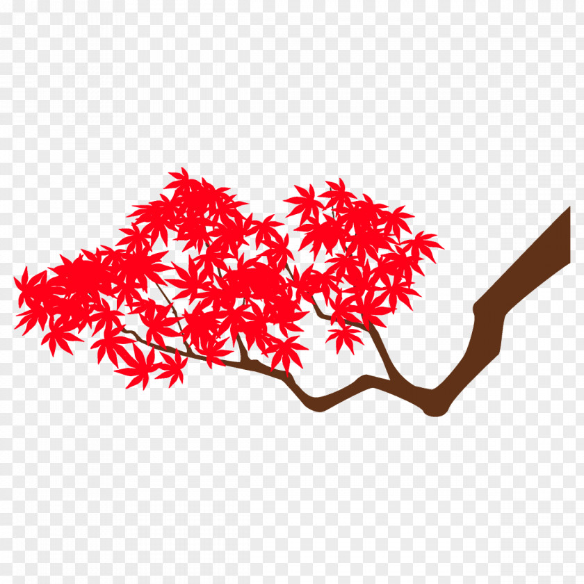 Maple Twig Branch Leaves Autumn Tree PNG