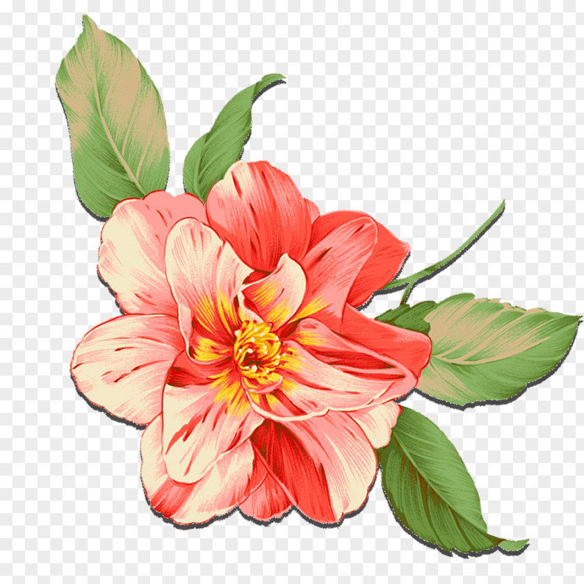 Pink Crocus Petal Flowers PNG