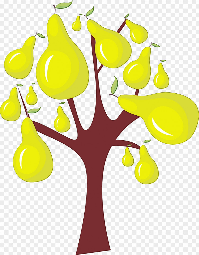 Yellow Line Meter Tree Fruit PNG