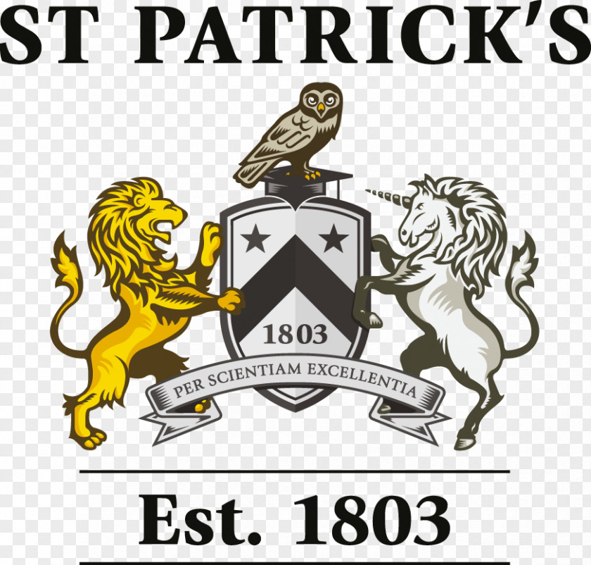Corporate Elderly Care St Patrick's College, London School Of Business And Finance St. Seminary & University PNG