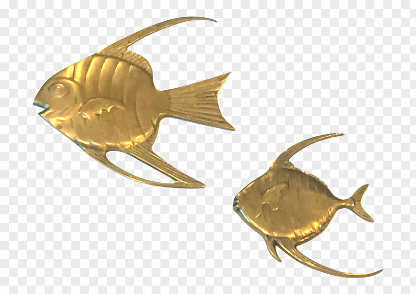 Fish 01504 PNG