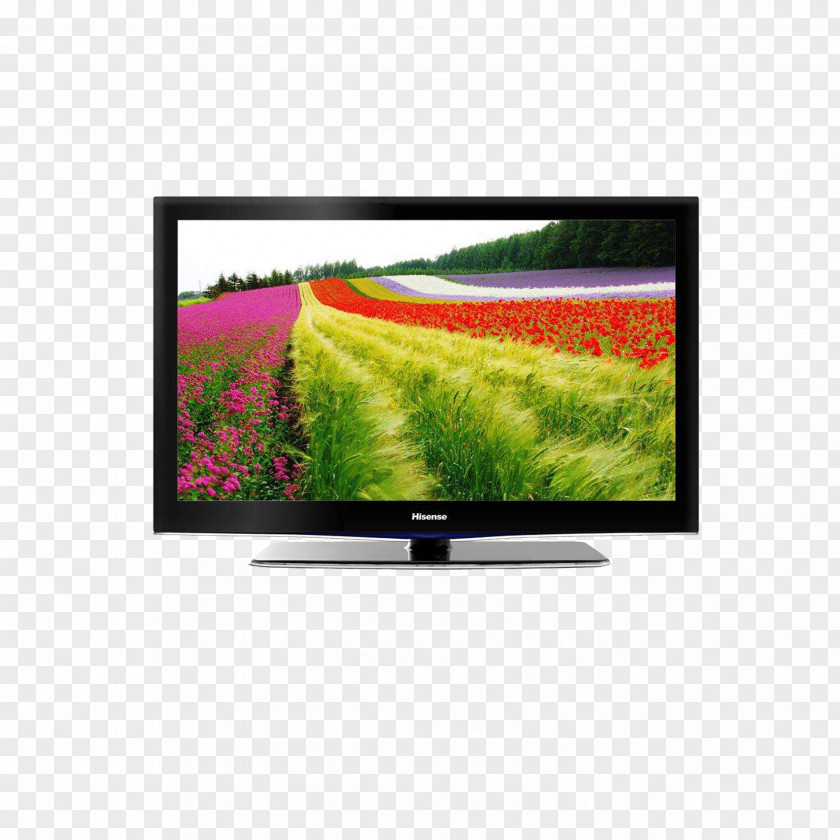 Hisense TV Television Antenna Digital High-definition PNG