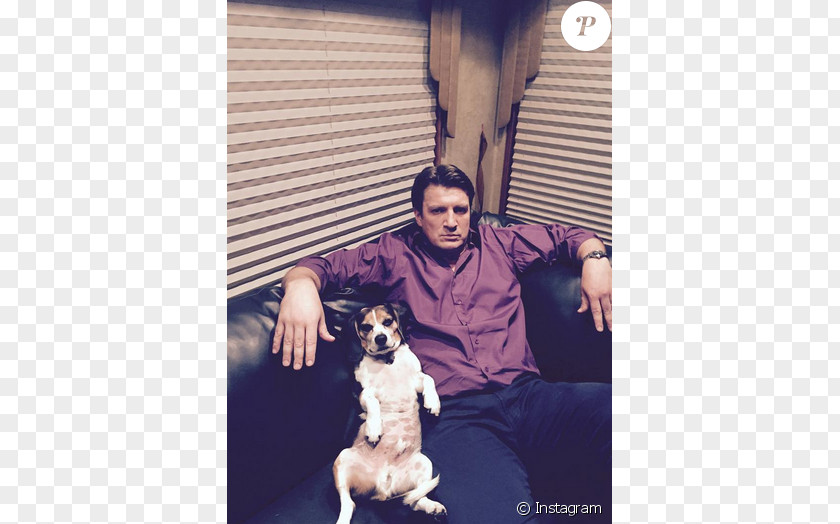 Nathan Fillion Dog Breed Puppy Crossbreed PNG