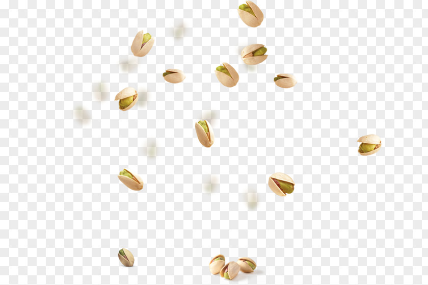 Pistachio Nucule Walnut PNG