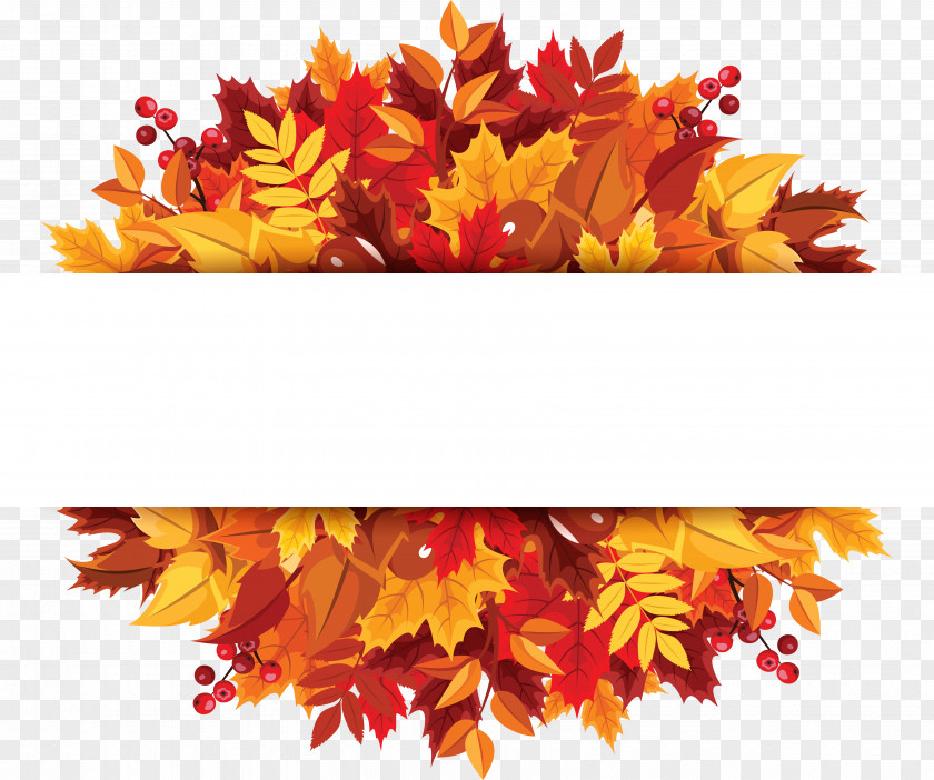 Autumn Leaf Color PNG