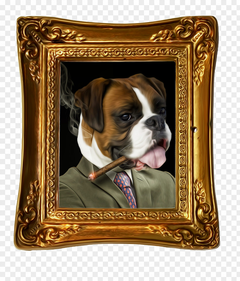 Bulldog Portrait PNG