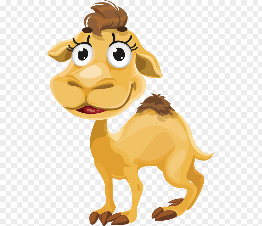 Camel Cartoon Royalty-free PNG
