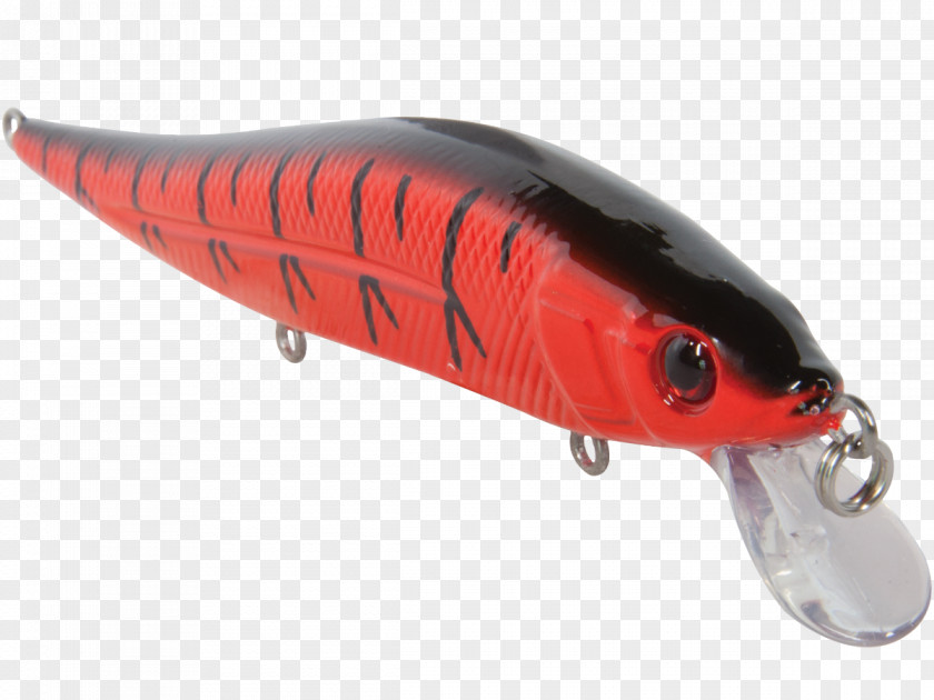 Design Spoon Lure Fish PNG