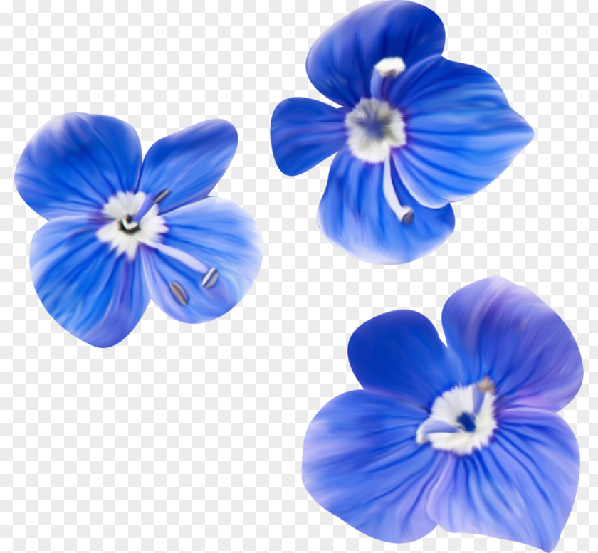 Flores Azuis Blue Download PNG