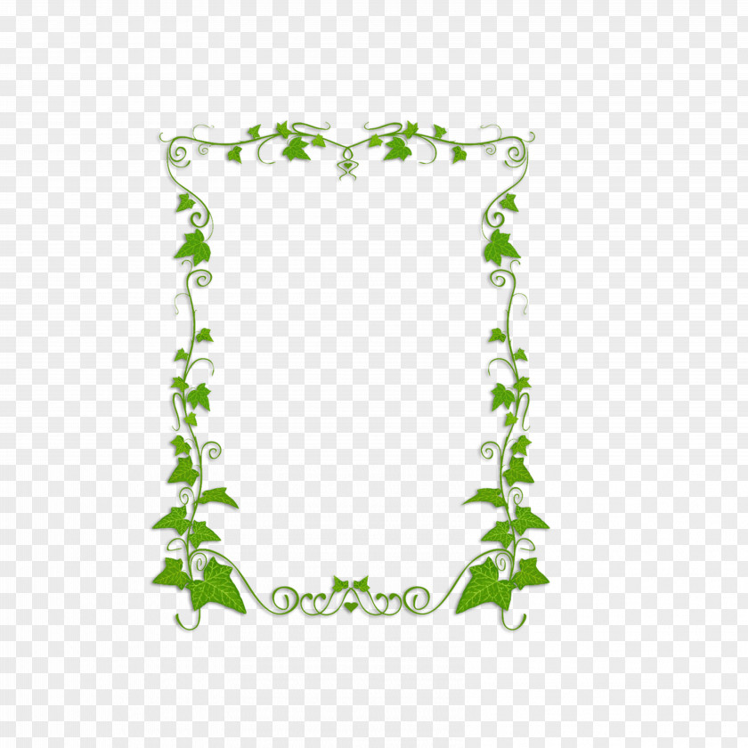 Green Leaves Border Common Ivy Plant Vine Clip Art PNG