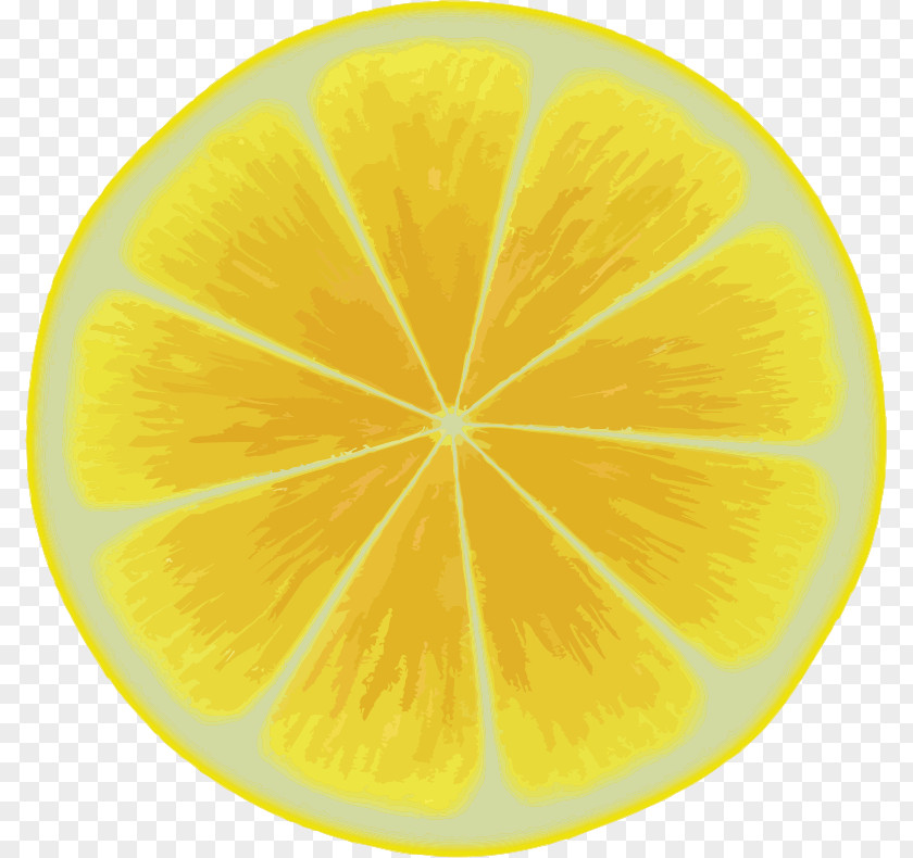 Lemon Citron Citric Acid Circle PNG