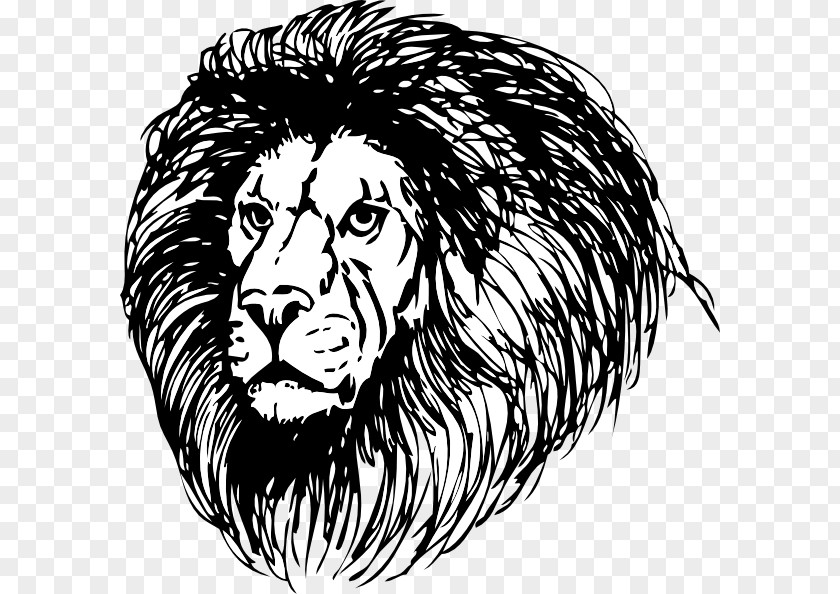 Lion Vector Mane Clip Art PNG