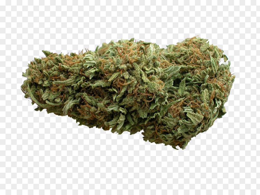 Cannabis Sativa Vaporizer Kush Dispensary PNG