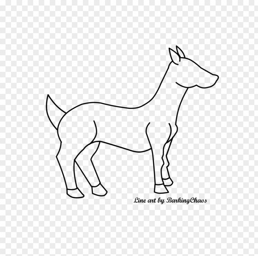 Cartoon Demarcation Line Mustang Pony Mammal Cattle Drawing PNG