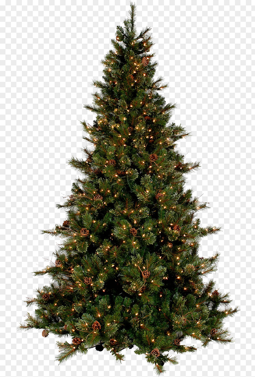 Christmas Tree Transparent Images Santa Claus PNG