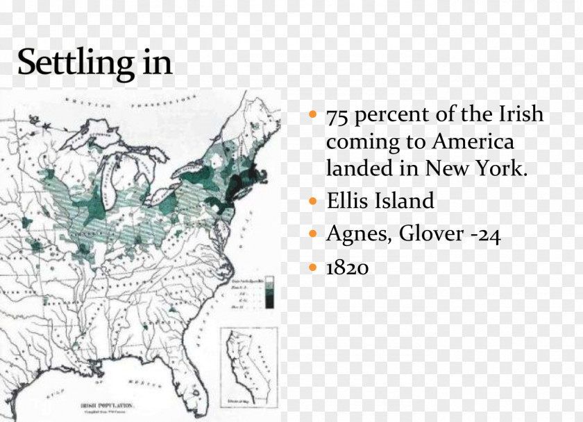 Ellis Island United States Scotch-Irish Americans Irish People Genealogy PNG