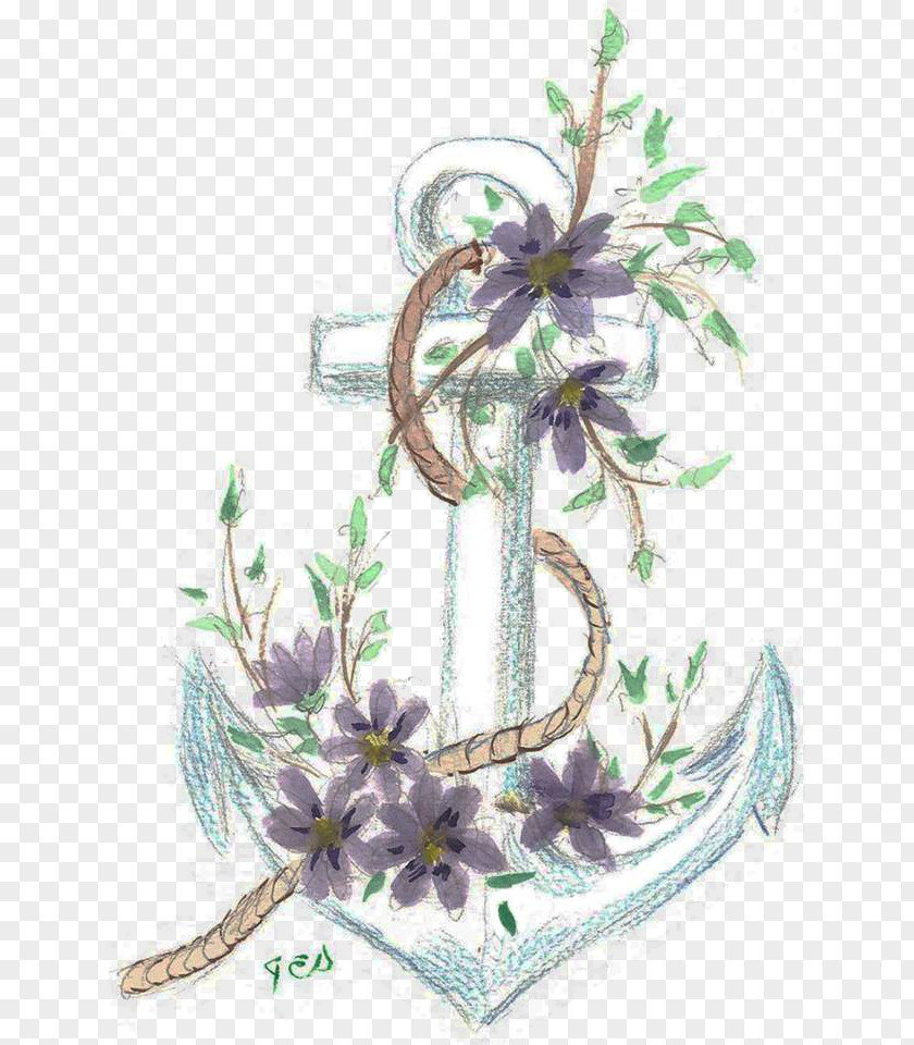 Sea Anchor Flowering Plant Lavender Plants PNG