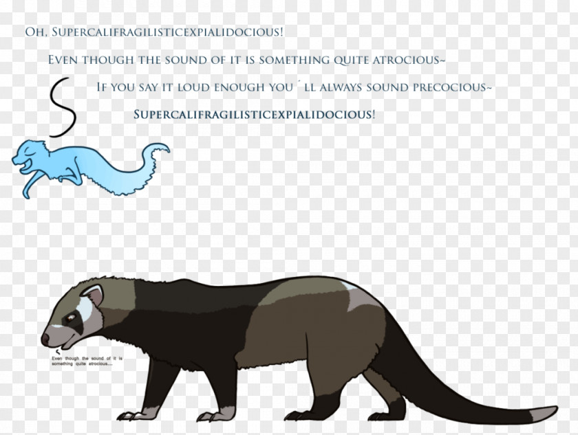 Cat Terrestrial Animal Mustelids Cartoon Wildlife PNG