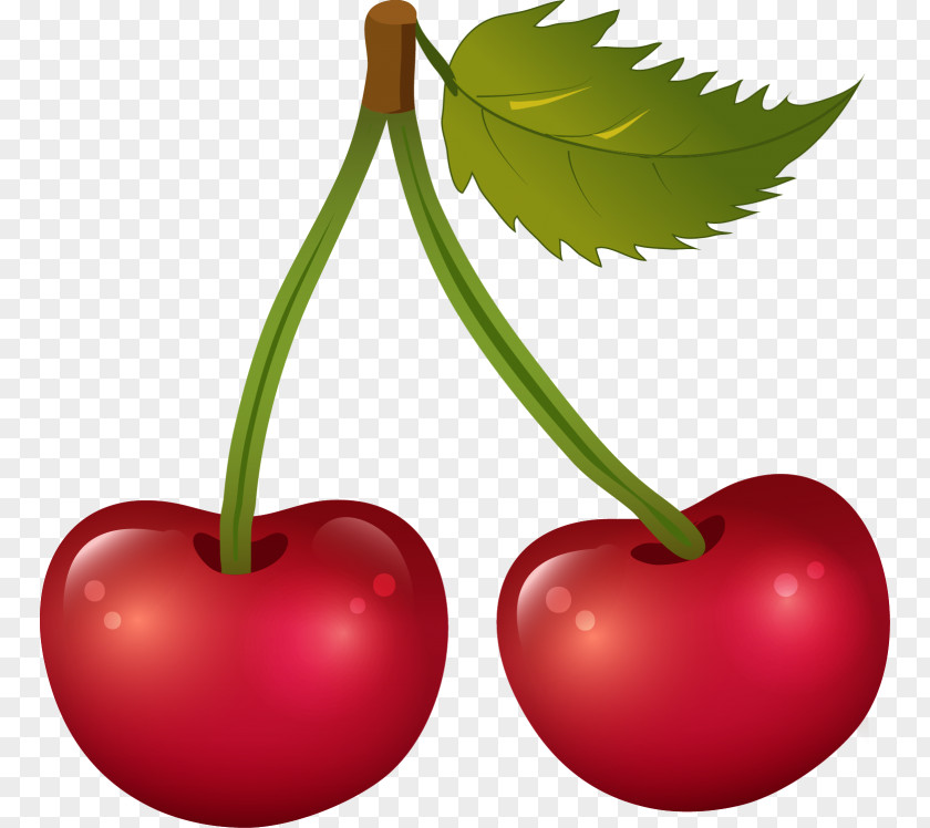 Cherry Food Cerasus Clip Art PNG