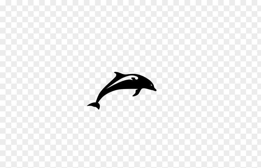 Dolphin Ecco The Chilean Clip Art PNG