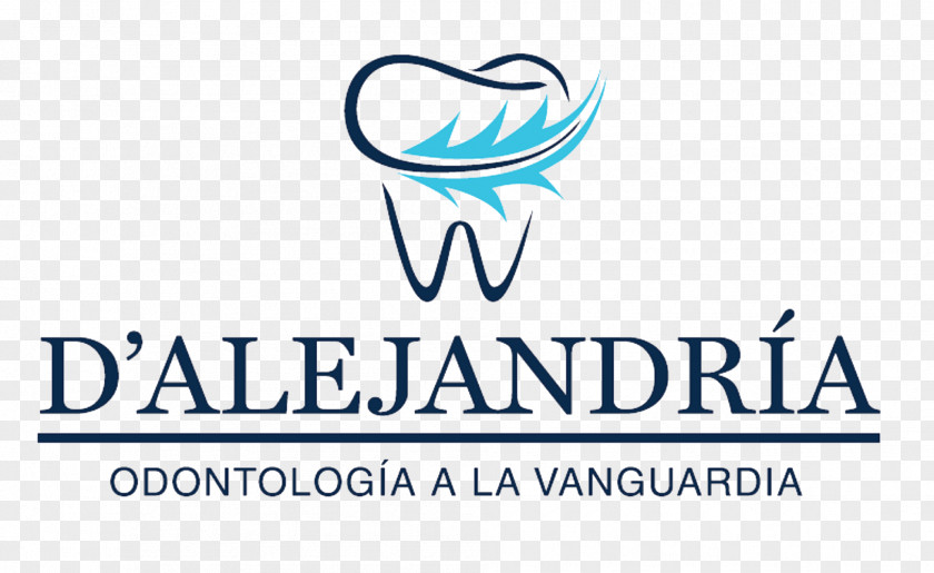 ODONTOLOGIA DAlejandria Odontologia Dentistry Dental Braces Human Tooth PNG