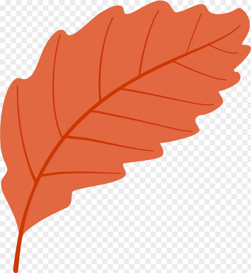 Plane Deciduous Autumn Leaf Fallen Dead PNG