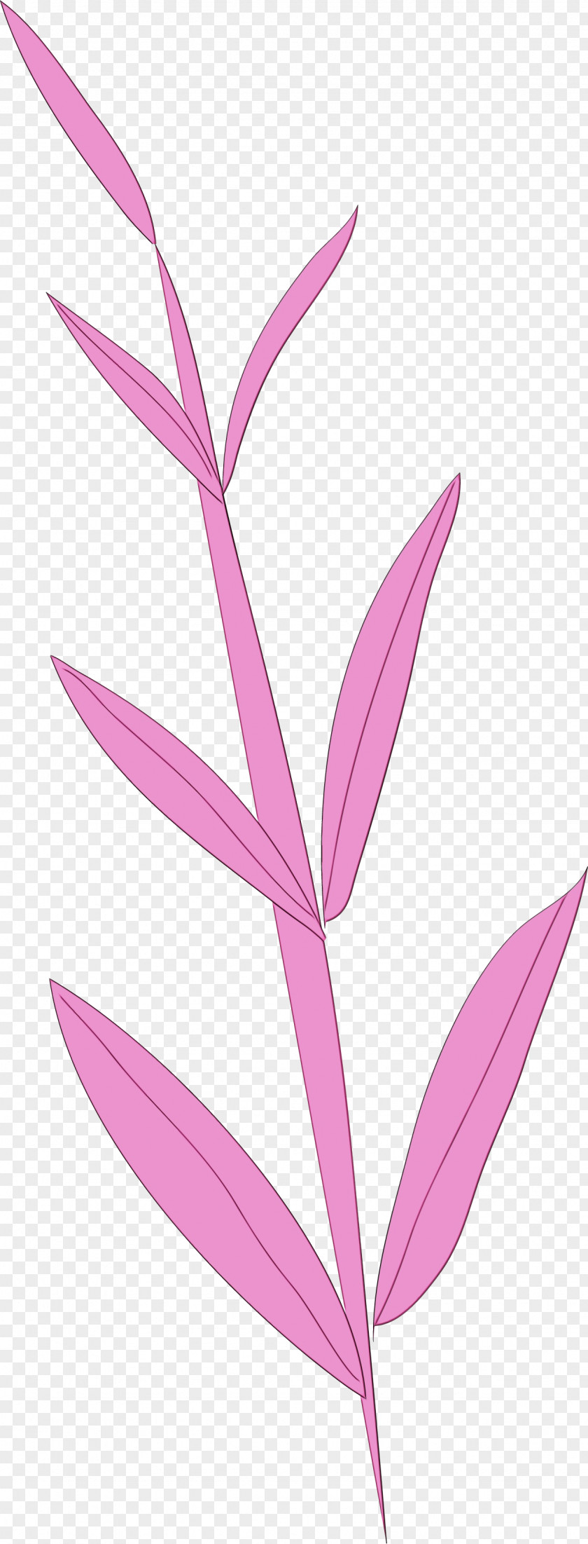 Plant Stem Petal Leaf Pink M Line PNG
