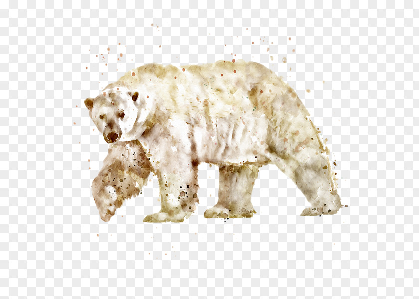 Polar Bear American Black Watercolor Painting Brown PNG