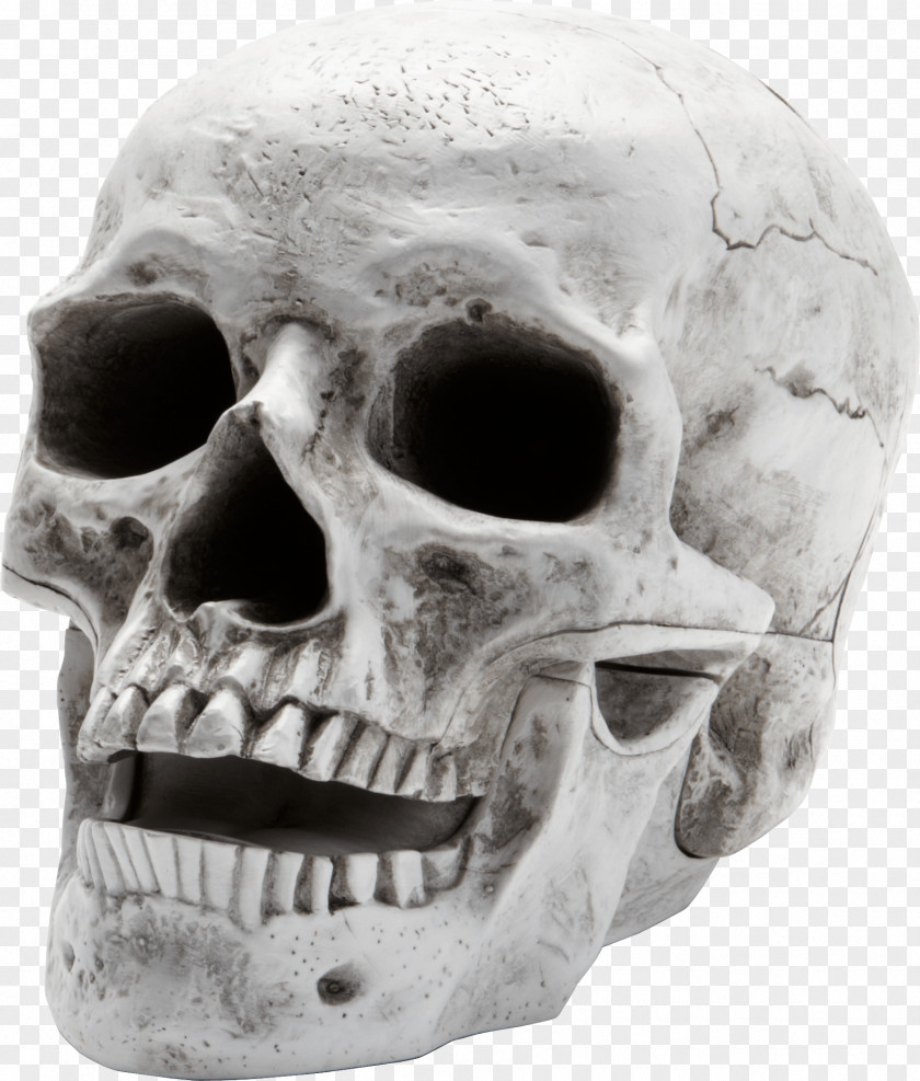 Scary Skeleton Skull PNG