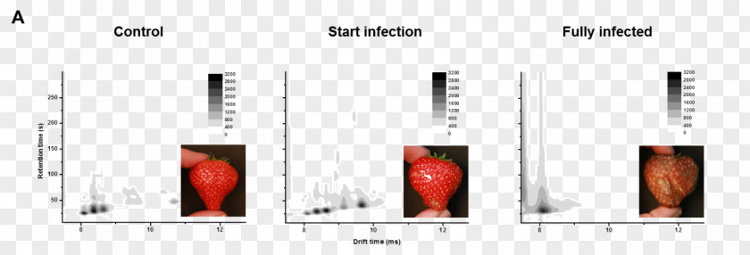 University Of Leuven Flavor Gas ChromatographyMass Spectrometry Mass MeBioS KU PNG