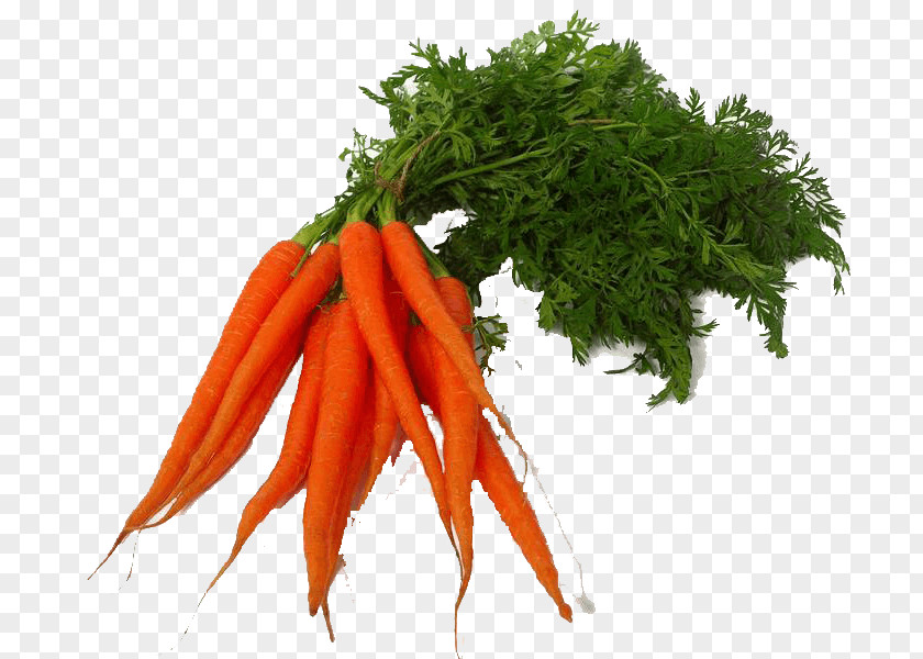 Vegetable Carrot Lettuce Clip Art PNG