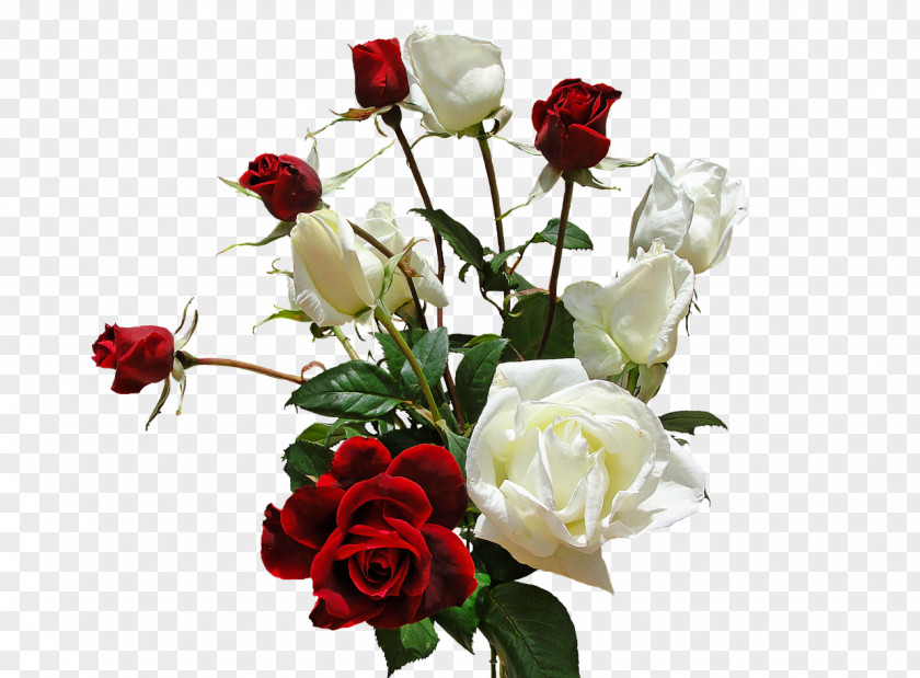 White Roses Love Song Romance Heart Boyfriend PNG