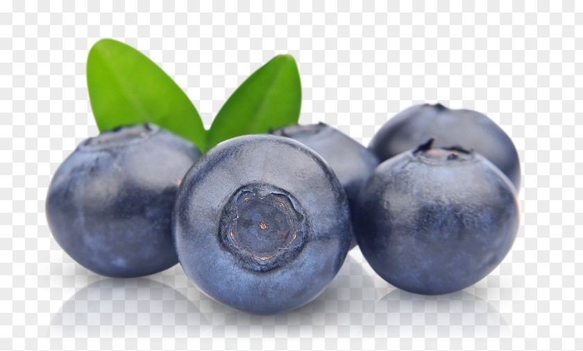 Berries European Blueberry Fruit PNG