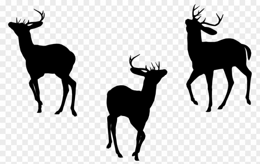 Elk Reindeer Antler Fauna Font PNG