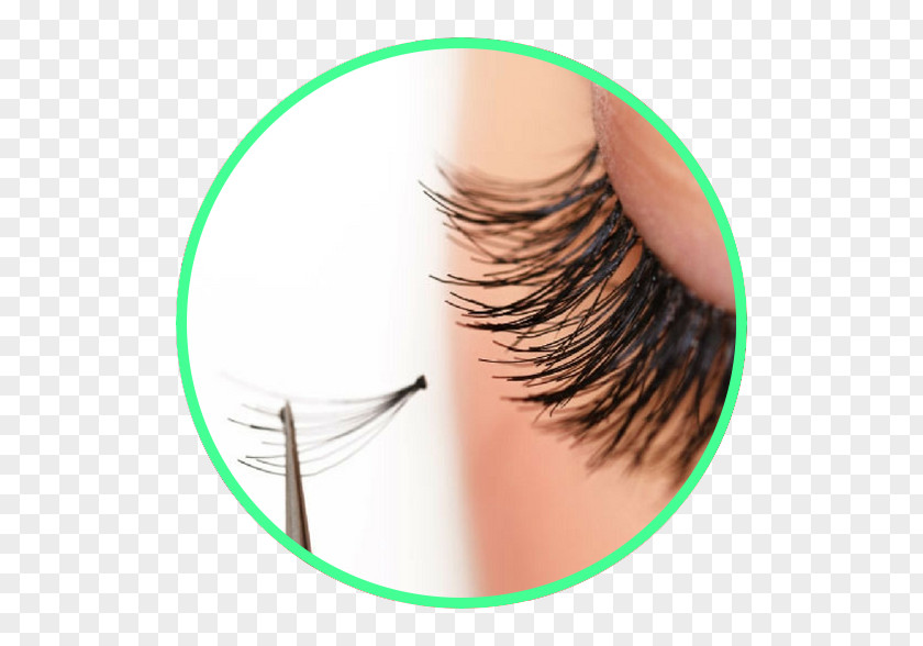 Eyelash Extensions Manicure Beauty Parlour Hair PNG