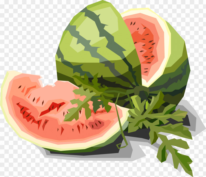 Fresh Watermelon Vector Euclidean Drawing Illustration PNG