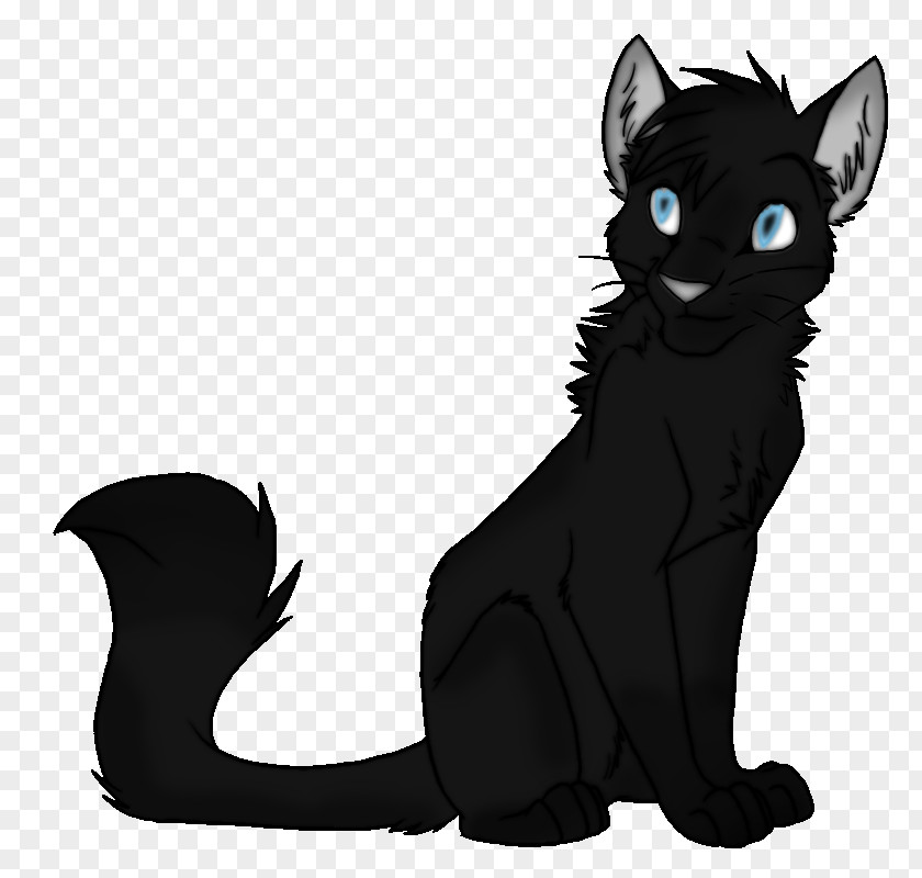 Kitten Bombay Cat Korat Black Whiskers PNG