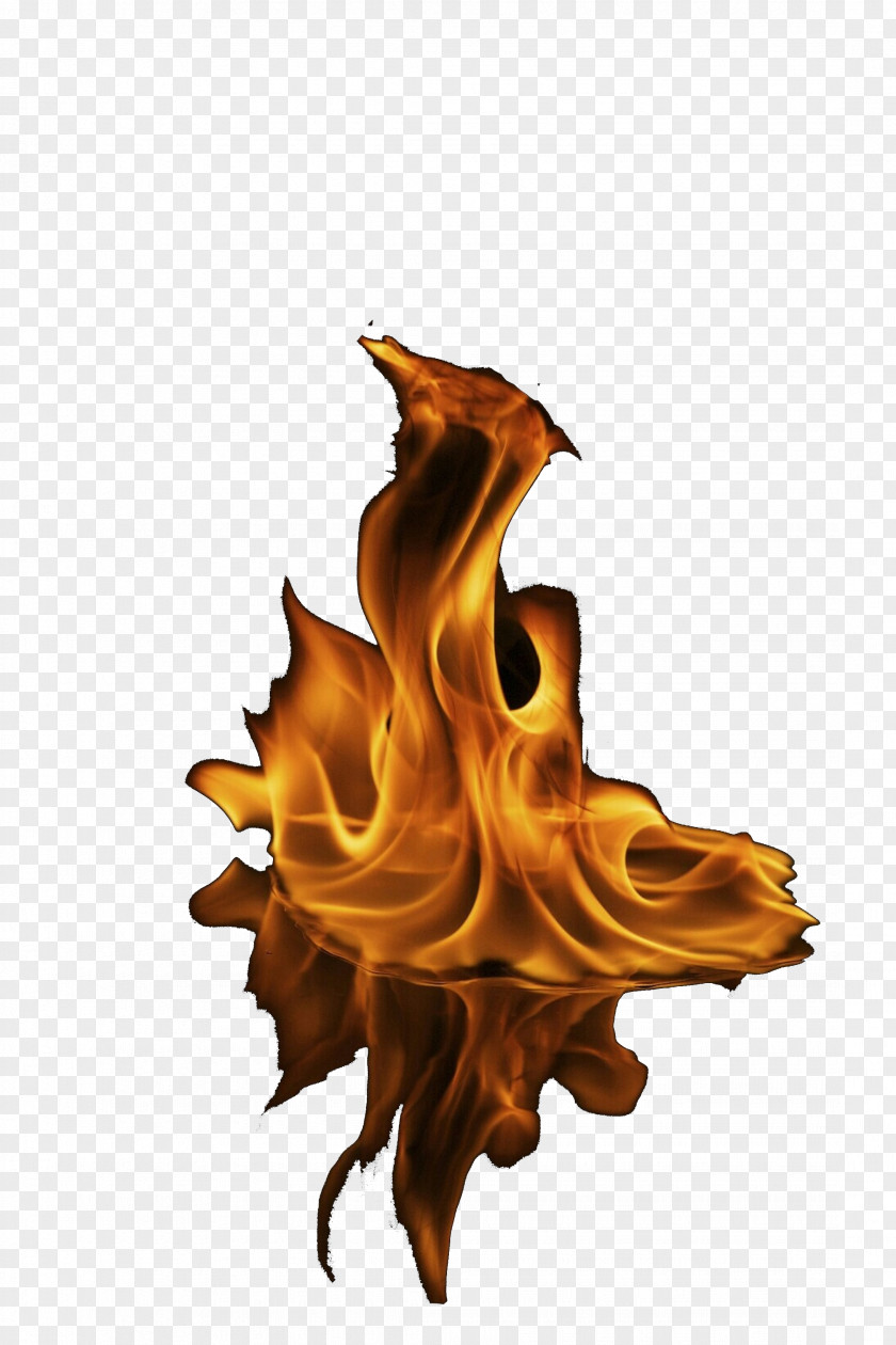Liquid Tree Flame Fire PNG