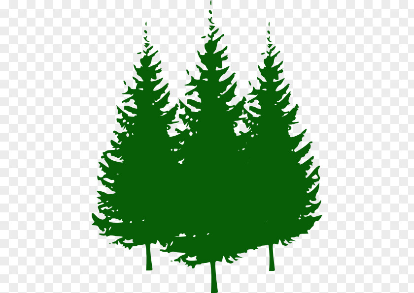 Pine Cliparts Free Tree Clip Art PNG