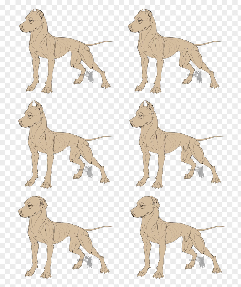 Pitbull Icon Dog Breed Italian Greyhound Whippet Sloughi Spanish PNG