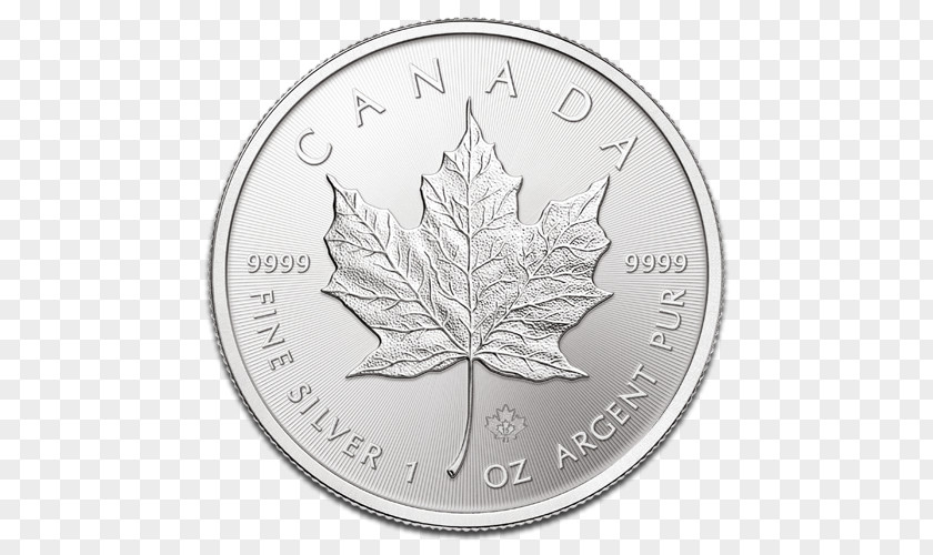 Silver Coin Canada Canadian Gold Maple Leaf PNG