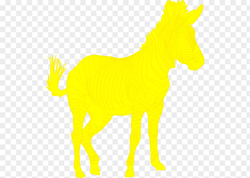 Mustang Mule Pony Giraffe Mane PNG