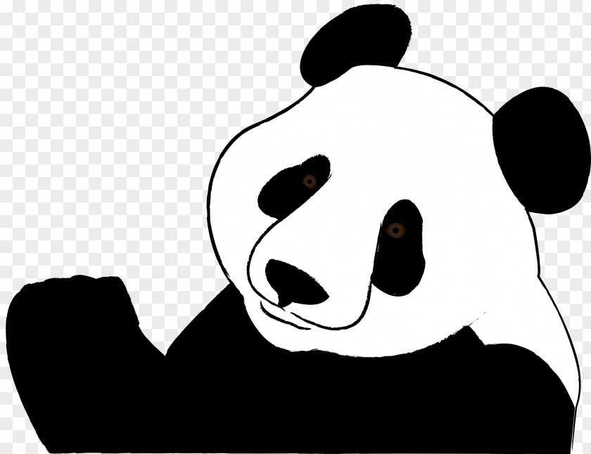 Panda Giant Red Bear Black And White Clip Art PNG