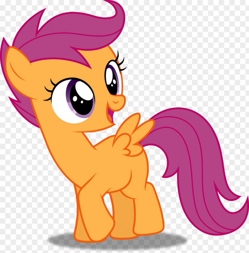 Pegasus Seiya Scootaloo Rainbow Dash Twilight Sparkle Pony Rarity PNG
